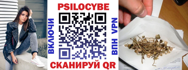 Галлюциногенные грибы Cubensis  хочу наркоту  Северск 